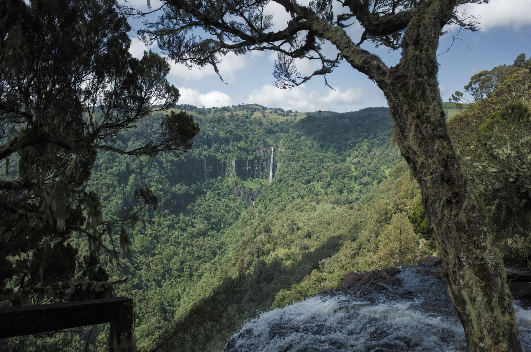 Gura Falls across the forested gorge from the top of Karuru Falls in Aberdare National Park