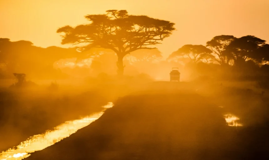 Getting to Tsavo from Nairobi or Mombasa: Road, Train and Flight Routes