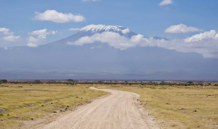Amboseli Photography Guide: Locations, Light and Fieldcraft