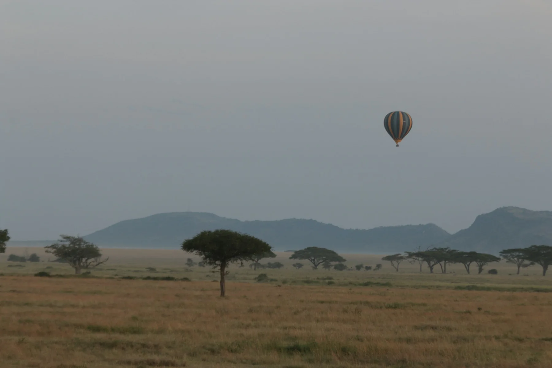 Hot air balloon over the Masai Mara