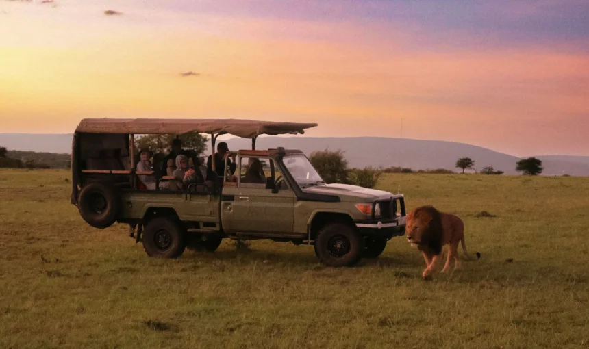Best Kenya Park for First-Time Safari Travellers