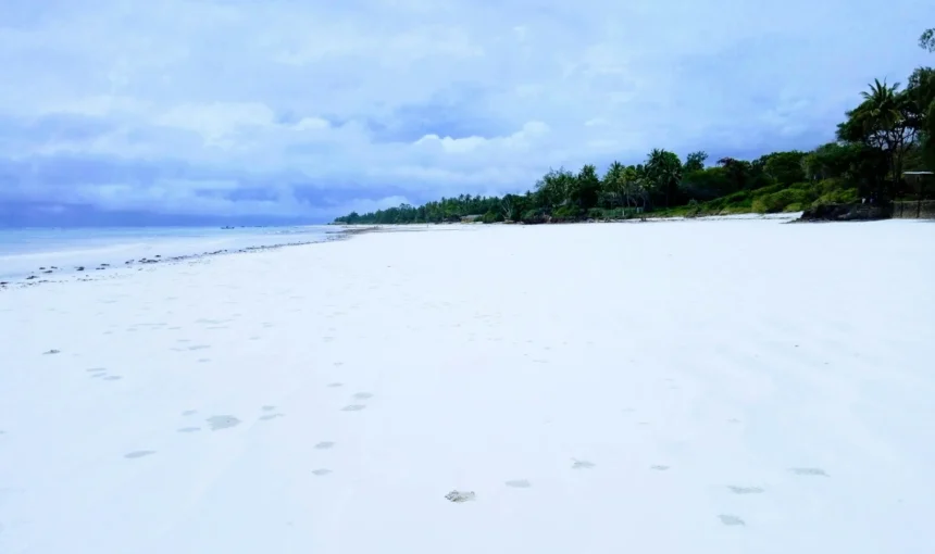 Best Time to Visit the Kenyan Coast: Weather, Sea Conditions and Beach-by-Beach Advice
