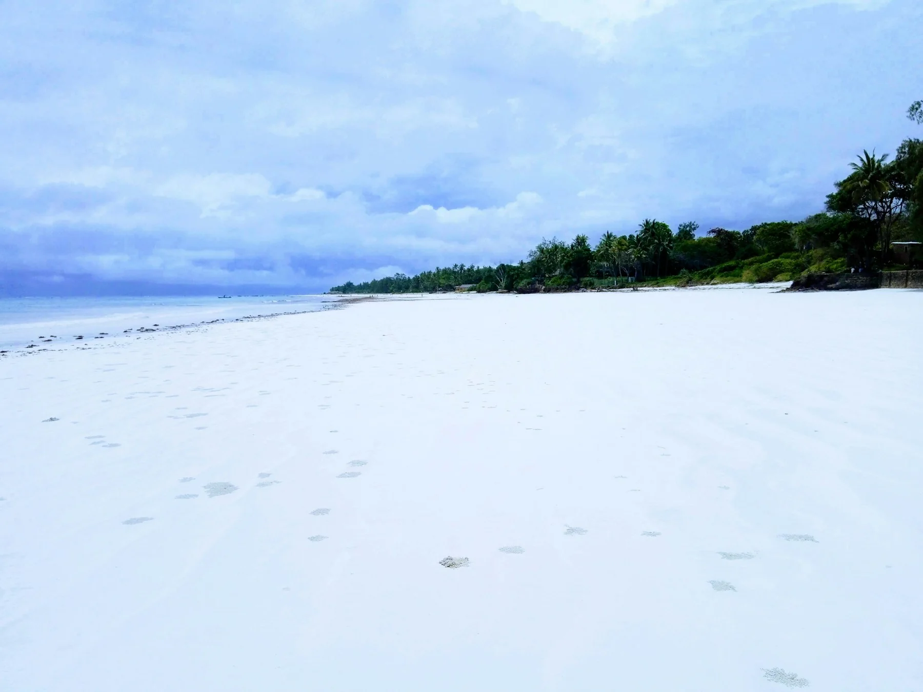 Best time to visit the Kenyan coast for wind and beach conditions