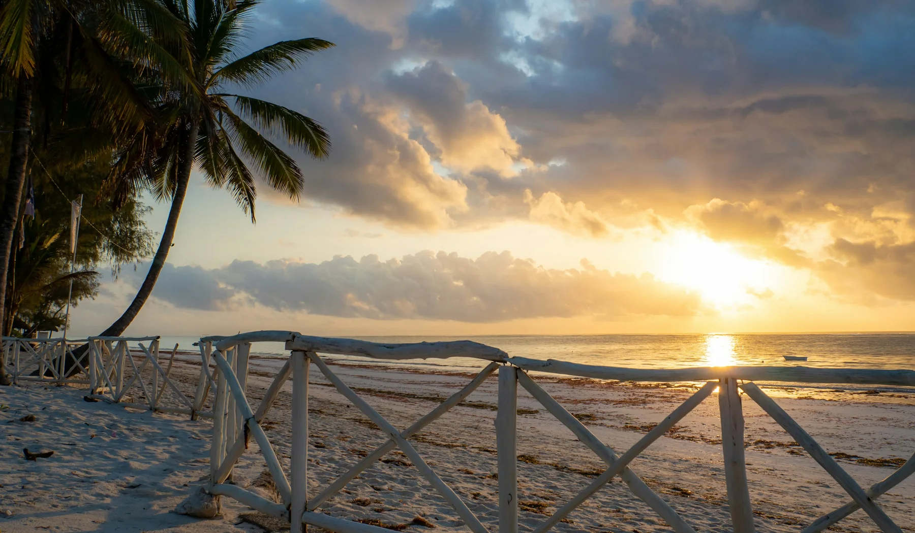 Sunrise through palm trees above the shoreline at Diani Beach