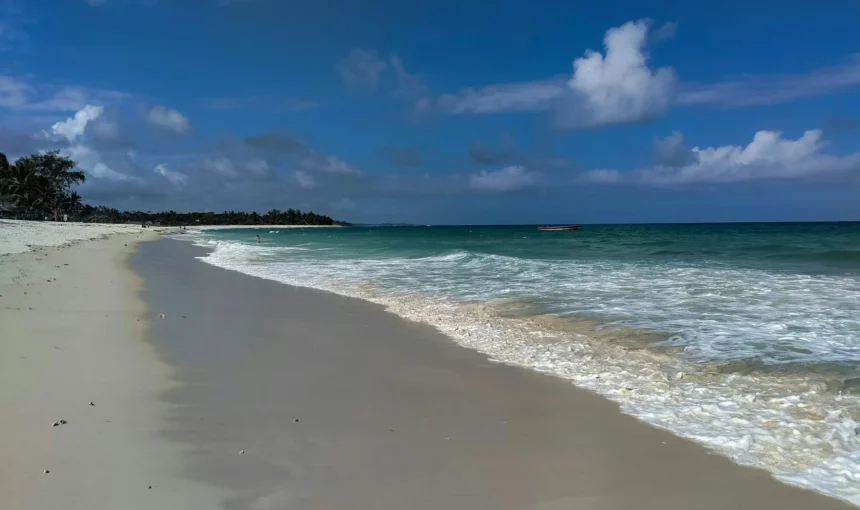 Diani Beach Activities: 25 Things to Do Beyond the Sun Lounger