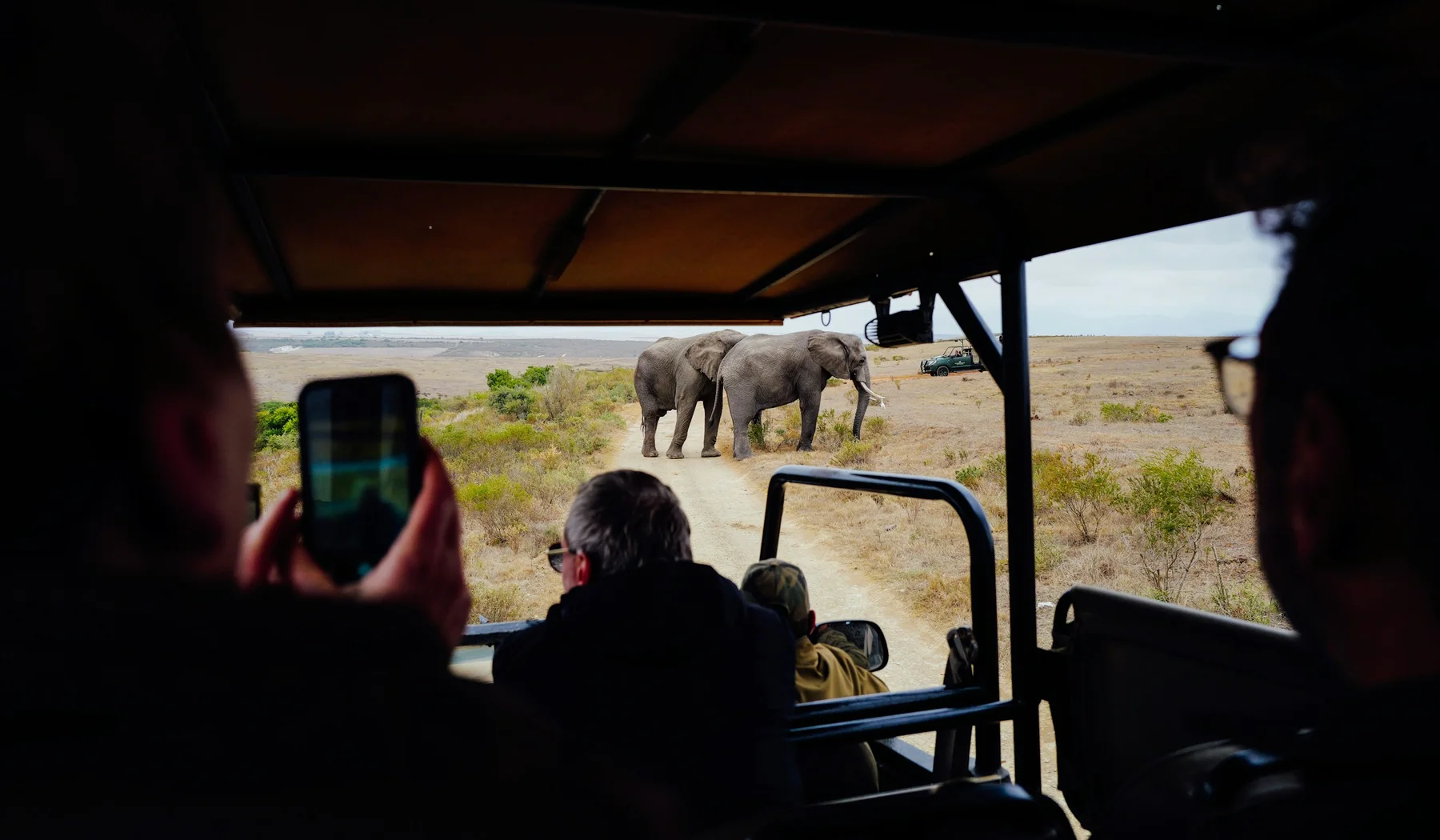 Travellers watching two elephants from an open safari vehicle
