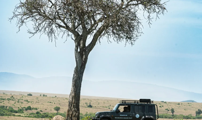 Ethical Wildlife Viewing and Off-Road Driving Rules