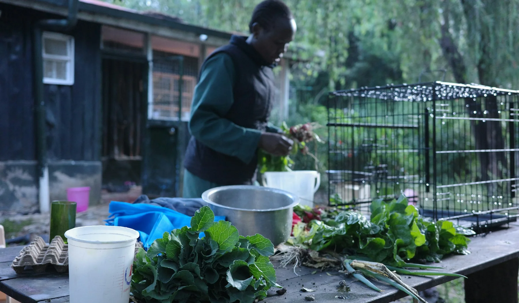 Fresh vegetables being prepared outdoors in Nanyuki, Kenya