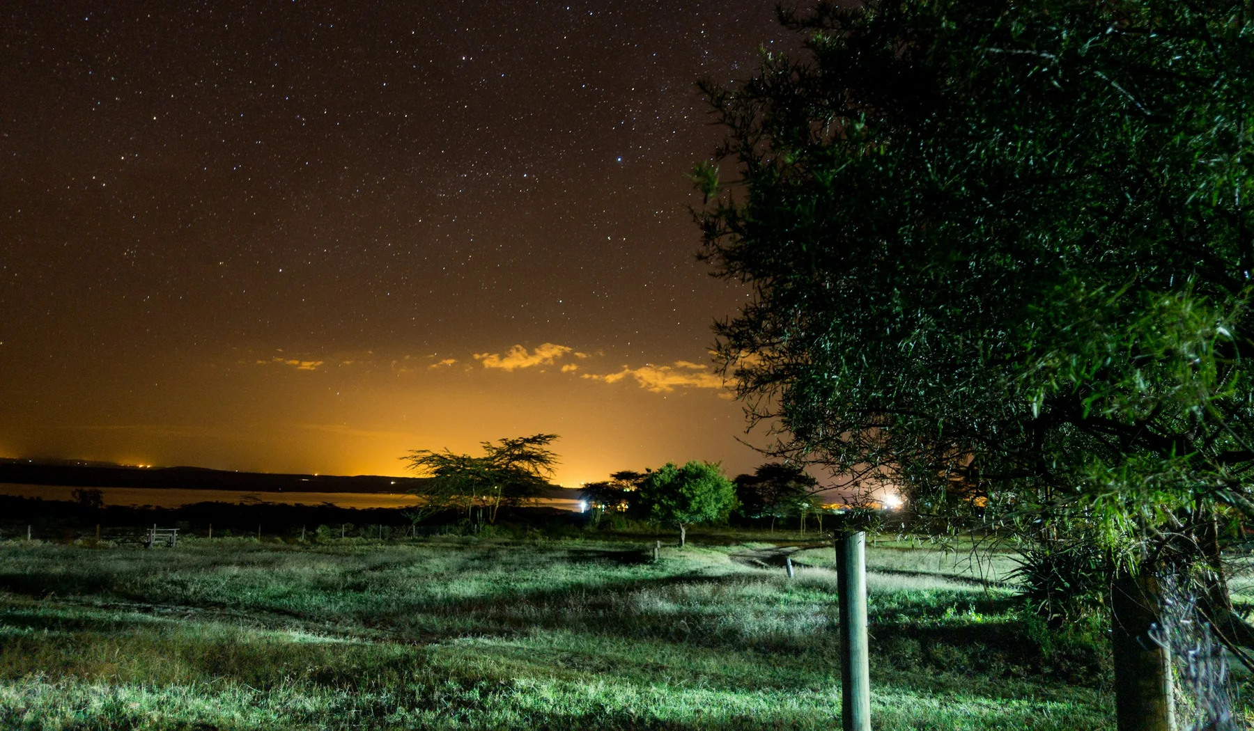 Stars and orange night glow above trees in Gilgil, Kenya
