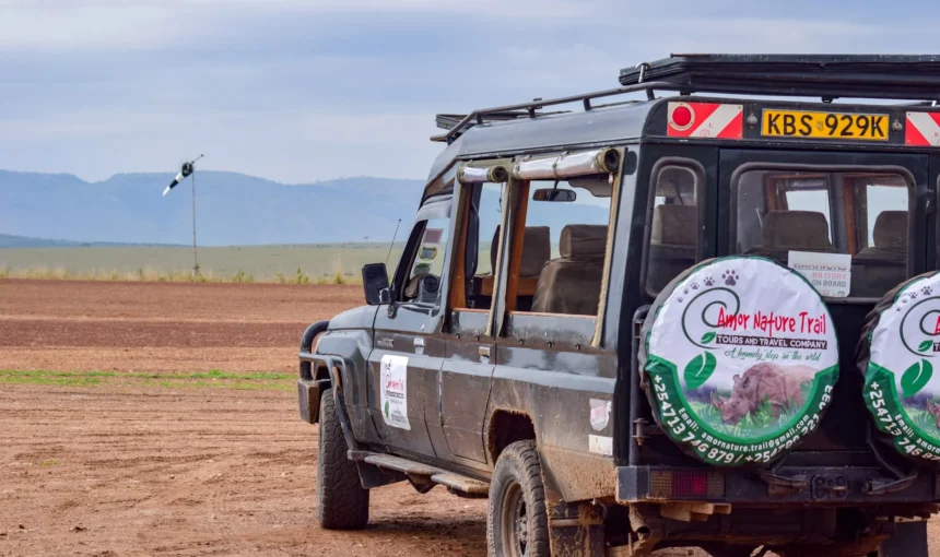 Nairobi to Masai Mara: Should You Fly or Drive?