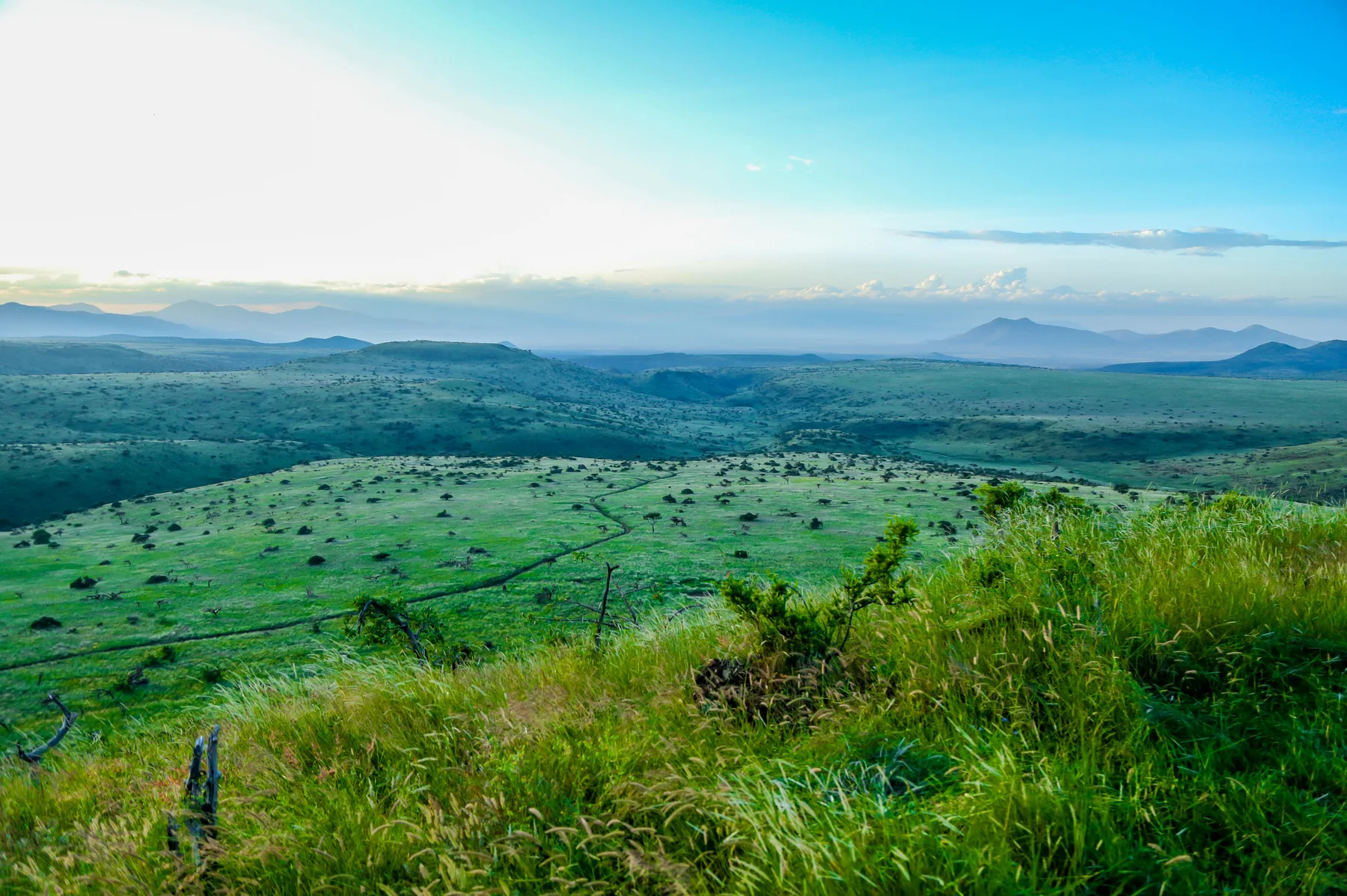 Green valleys and open hills across Lewa Wildlife Conservancy in northern Kenya