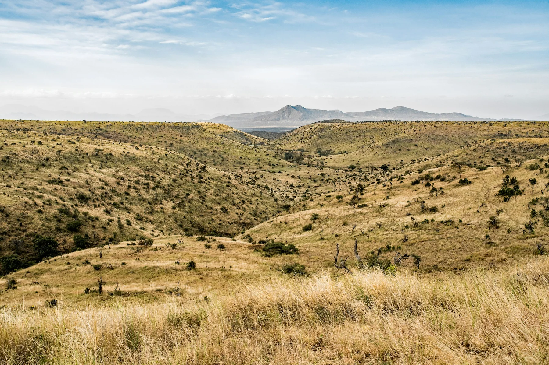 Rolling hills between Lewa Conservancy and the Samburu landscape