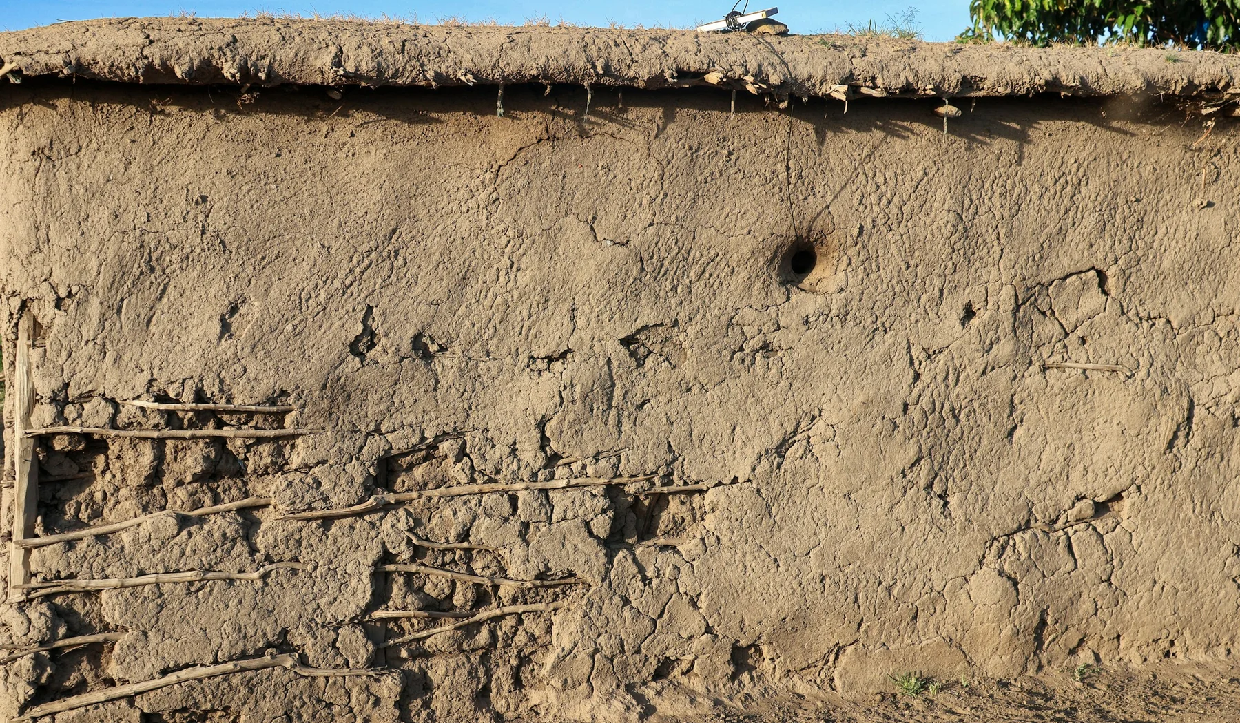 Earthen homestead wall with birds perched above it
