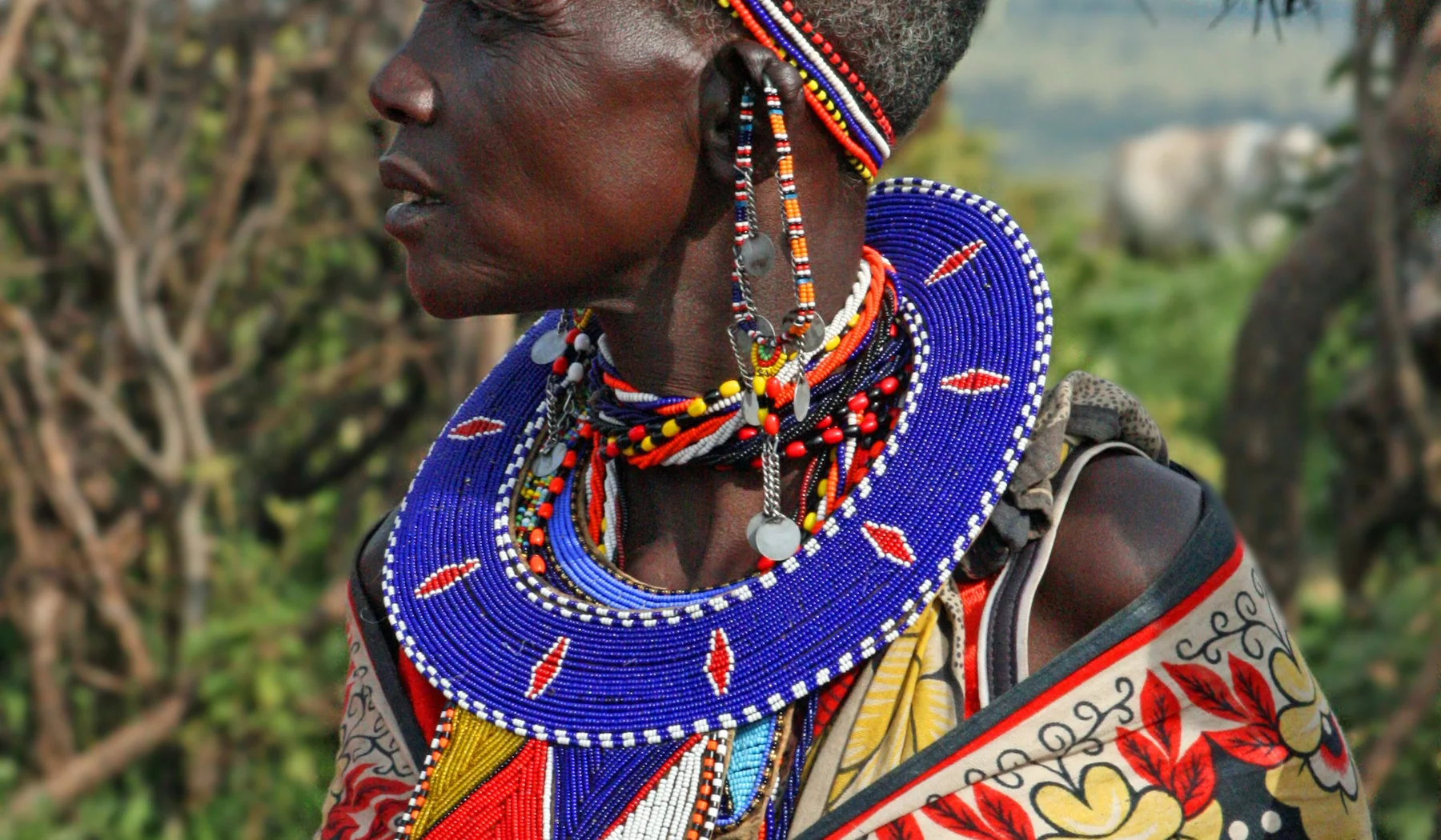 Maasai woman wearing detailed beadwork in Narok, Kenya