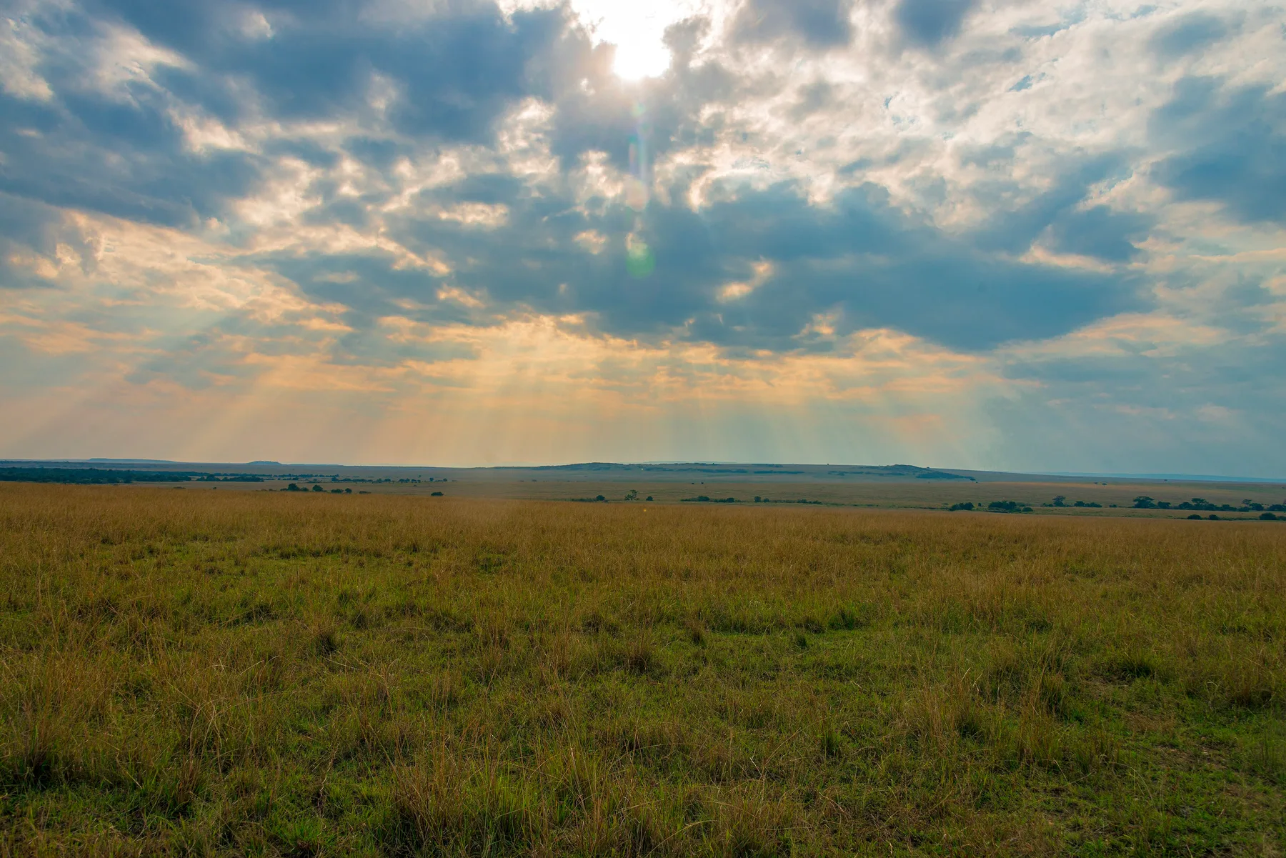 Masai Mara safari packages from Nairobi across the open Mara grasslands