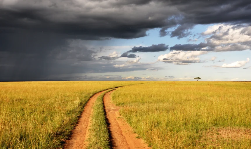 Masai Mara Conservancies Guide: Which Area Fits You?