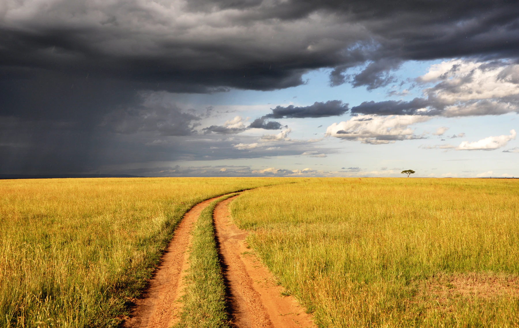 A dirt track crossing open Masai Mara grassland beneath a dramatic storm sky