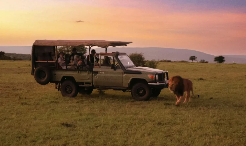Masai Mara Game-Drive Rules and Wildlife Etiquette