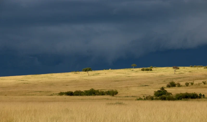 Masai Mara Flooding: Seasons, Flood-Prone Areas, Camp Location and Travel Planning