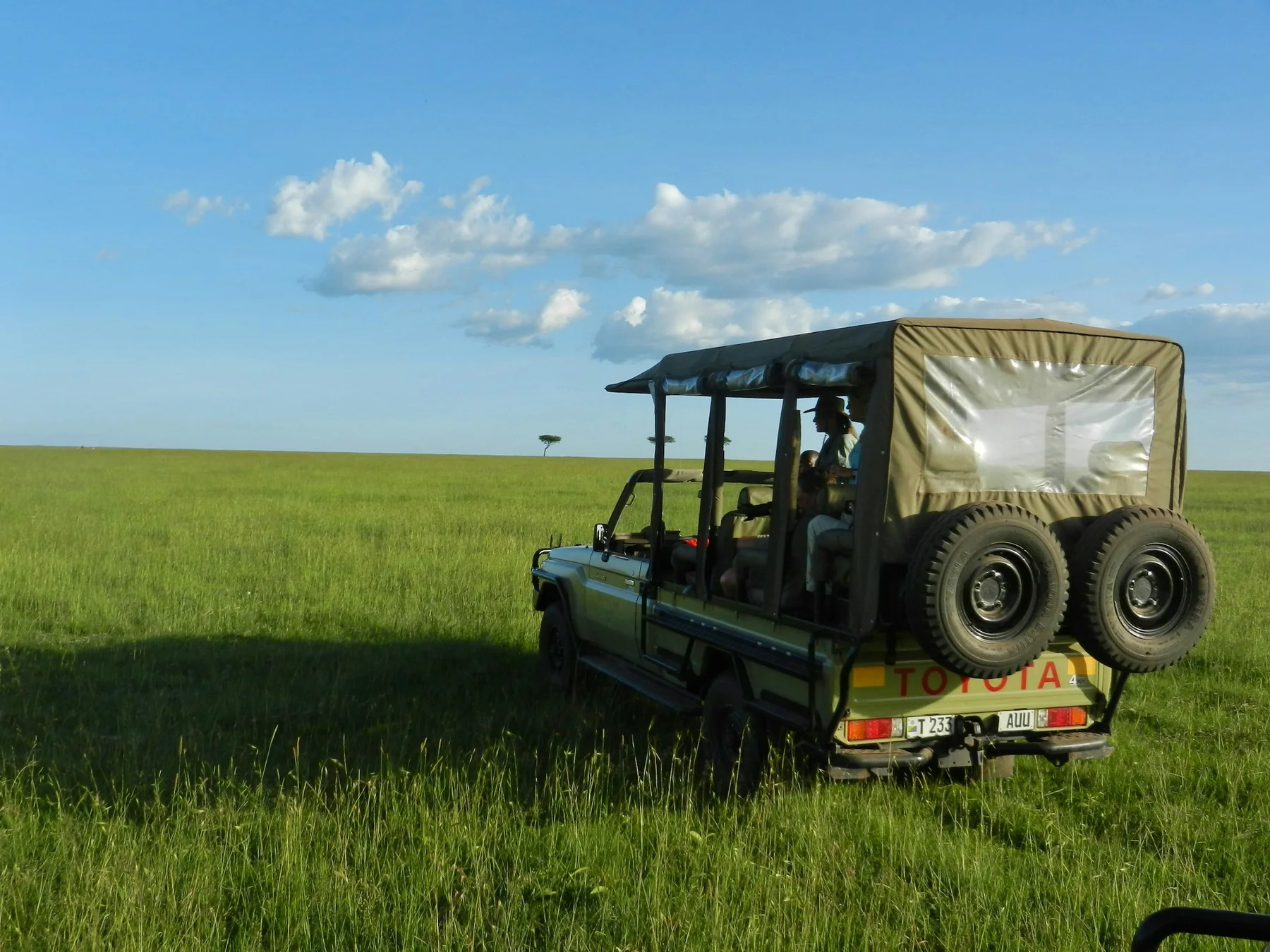 Open-sided safari Land Cruiser on green Masai Mara grassland