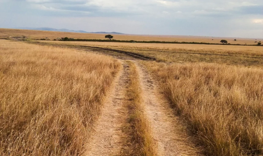 Masai Mara Game Drives: Full Day vs Morning and Afternoon Drives