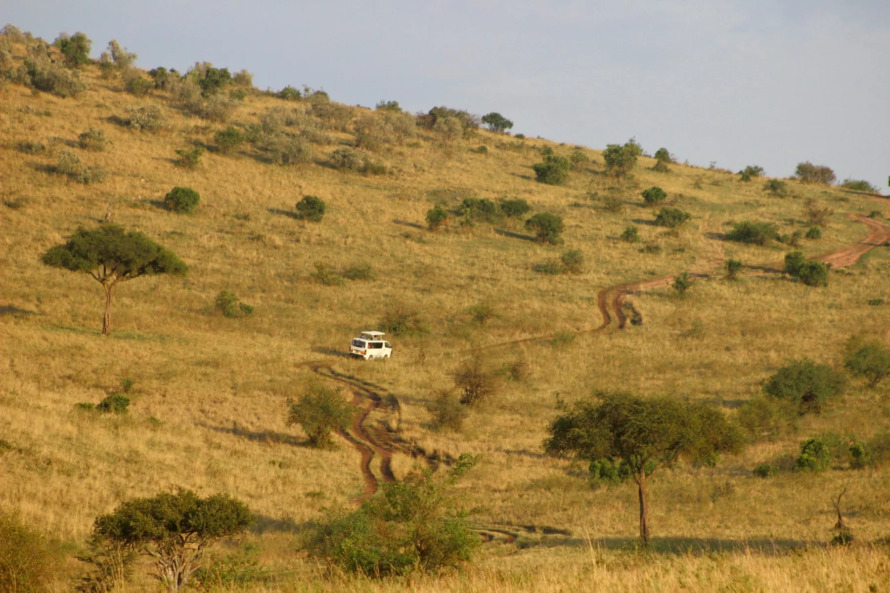 Safari vehicle crossing a Masai Mara hillside on a four-day safari