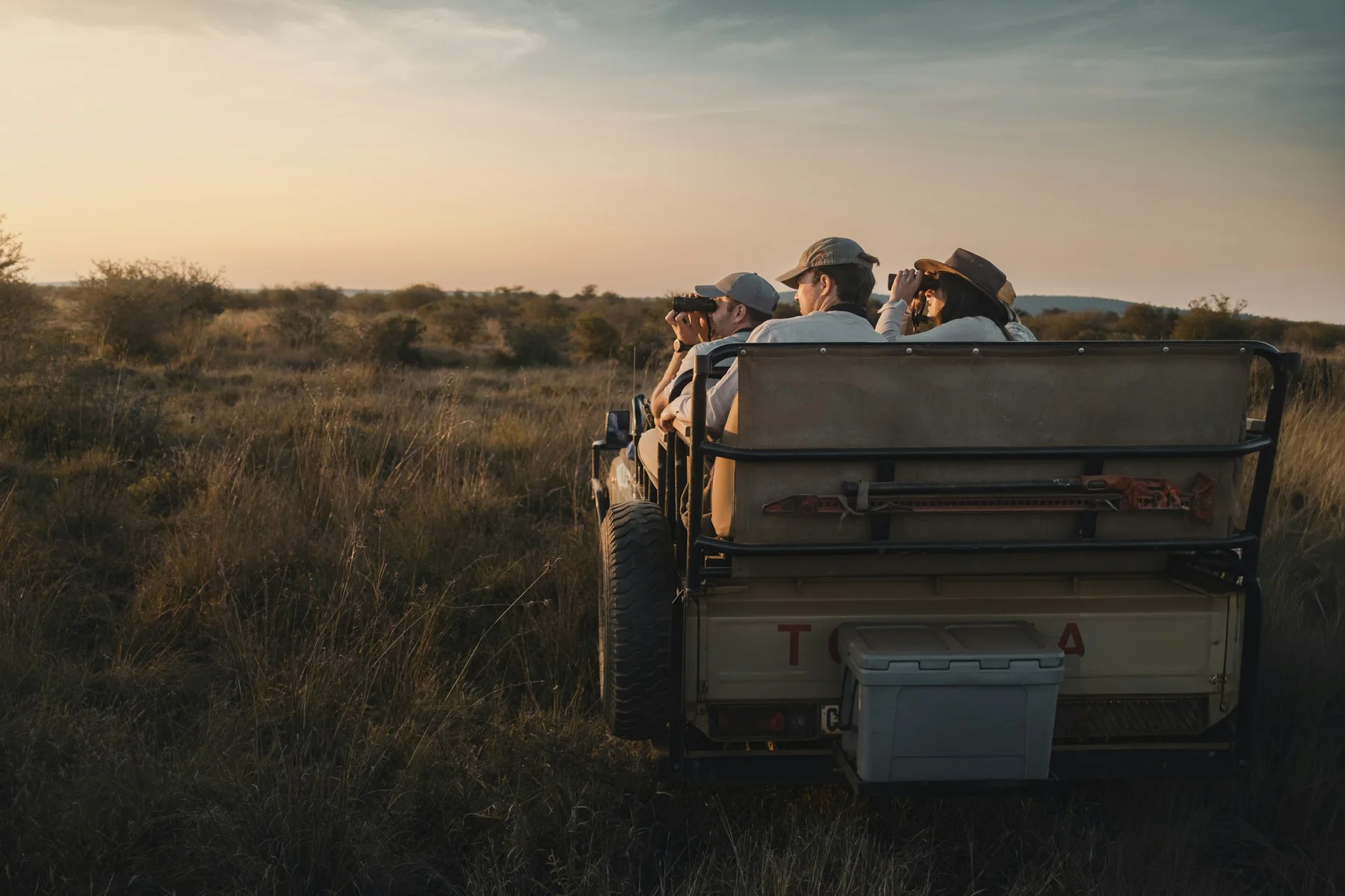 Guests in an open safari vehicle scanning grassland as the light fades