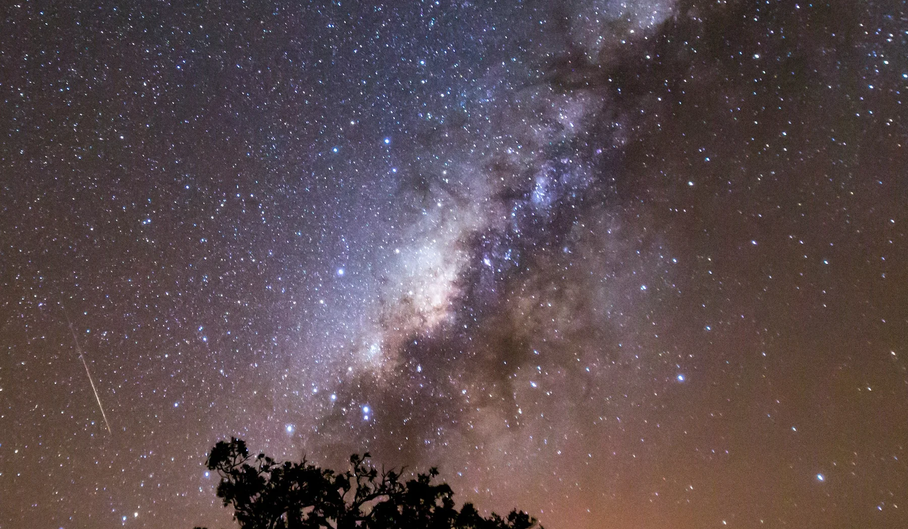 Milky Way rising above a tree in Kenya's Masai Mara