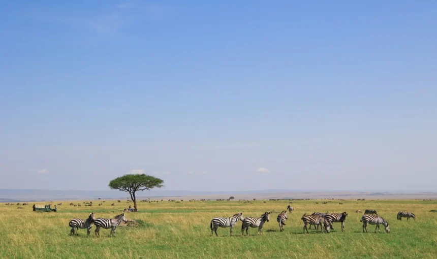 Masai Mara Airports: Airstrips, Flights and the Transfer That Really Matters
