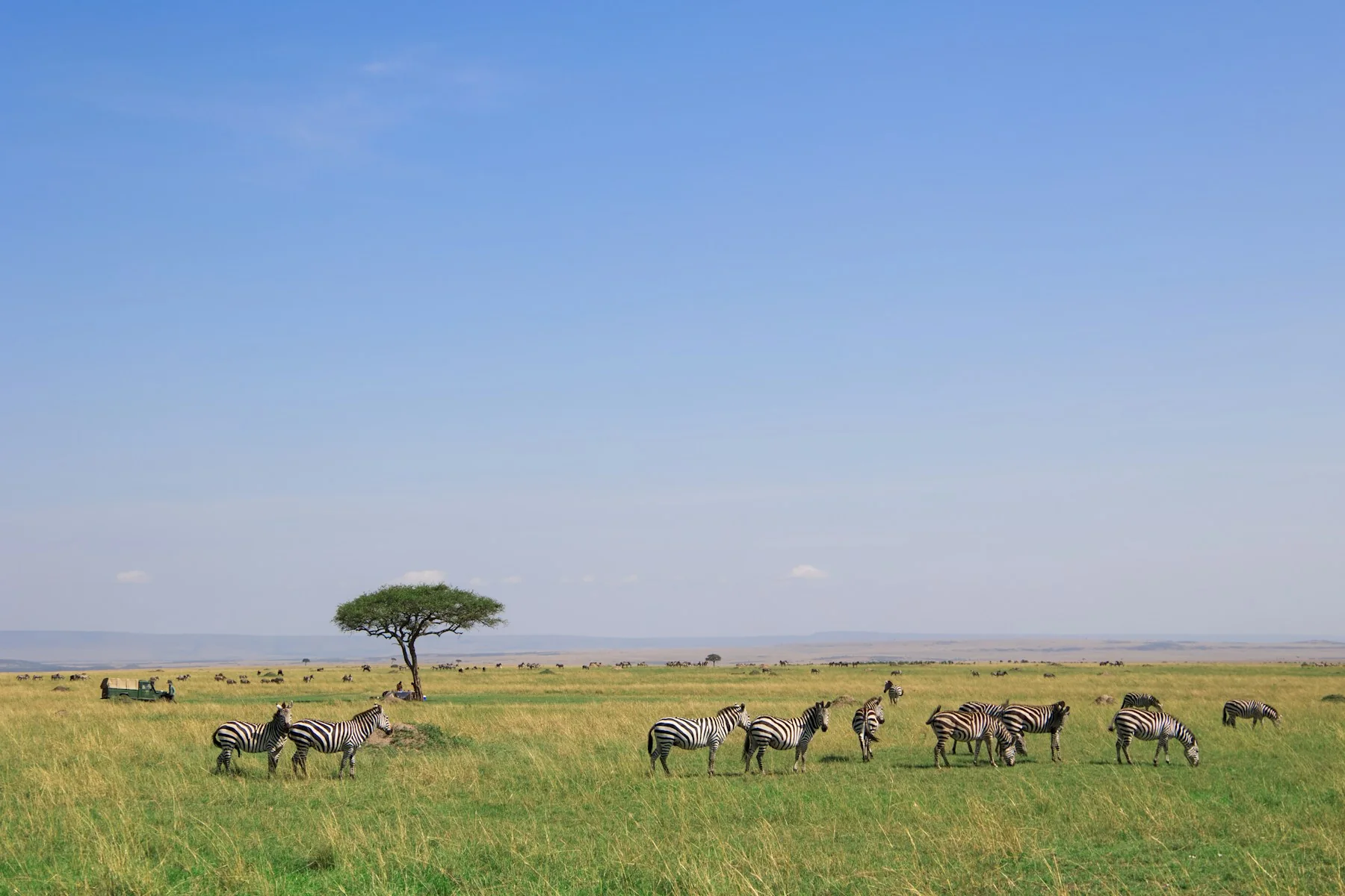 Open plains in the Masai Mara