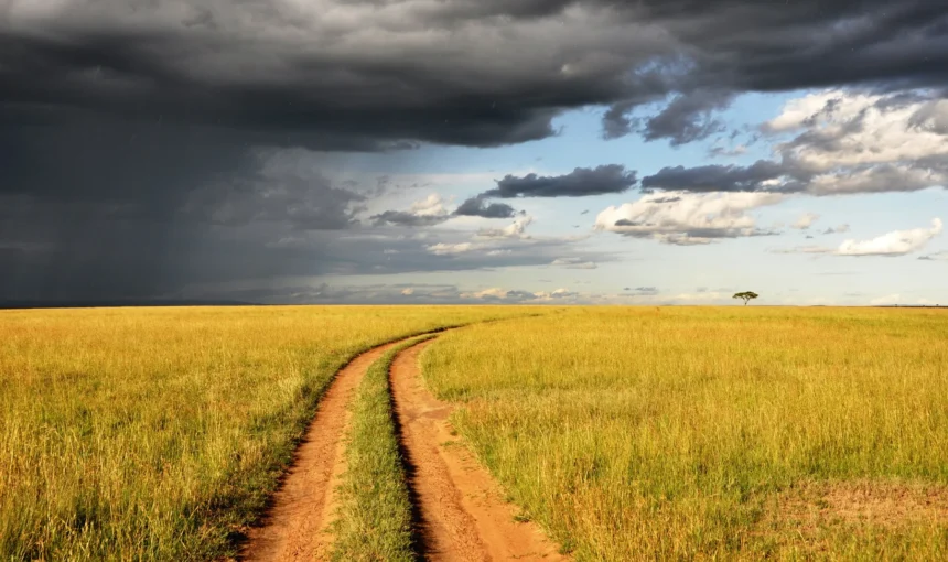 Masai Mara in April and May: Rain, Wildlife, Camps, Roads and Who Should Go