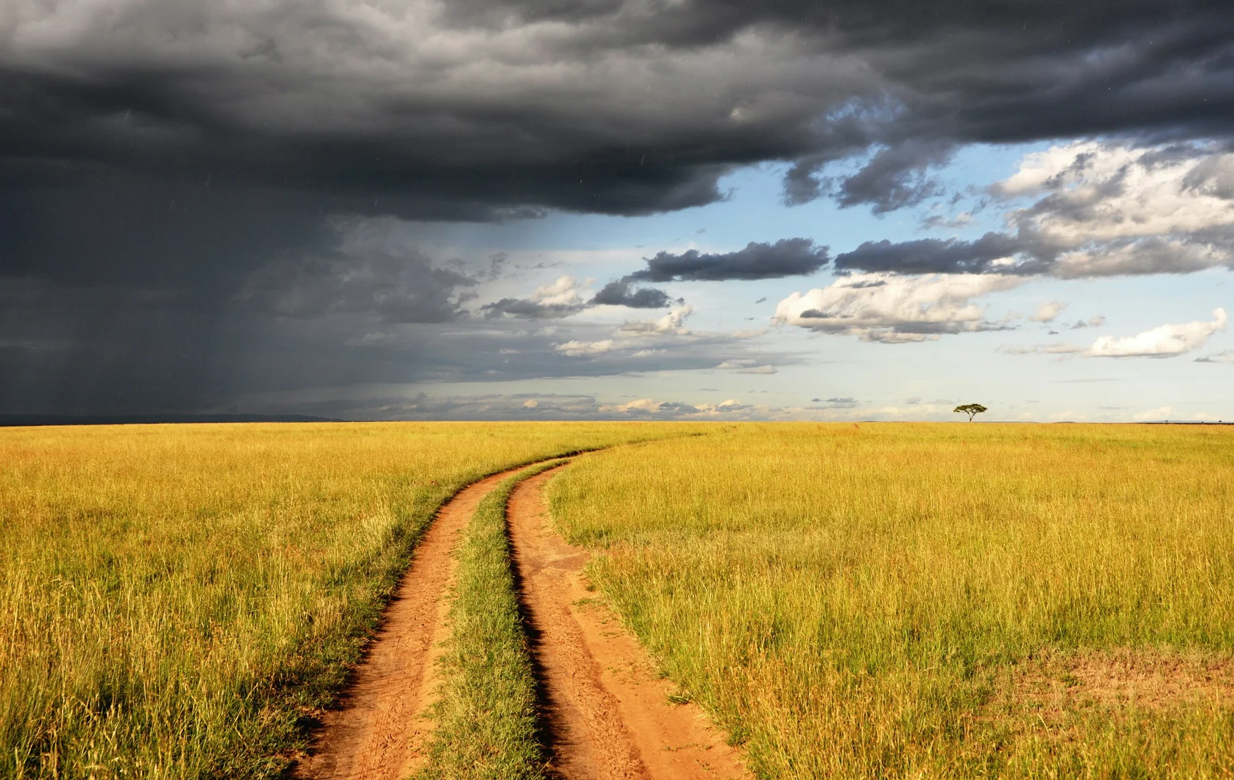 Safari track beneath a storm over the Masai Mara grasslands