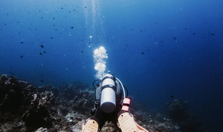 Snorkeling and Diving: Diani vs Watamu vs Malindi Compared Honestly