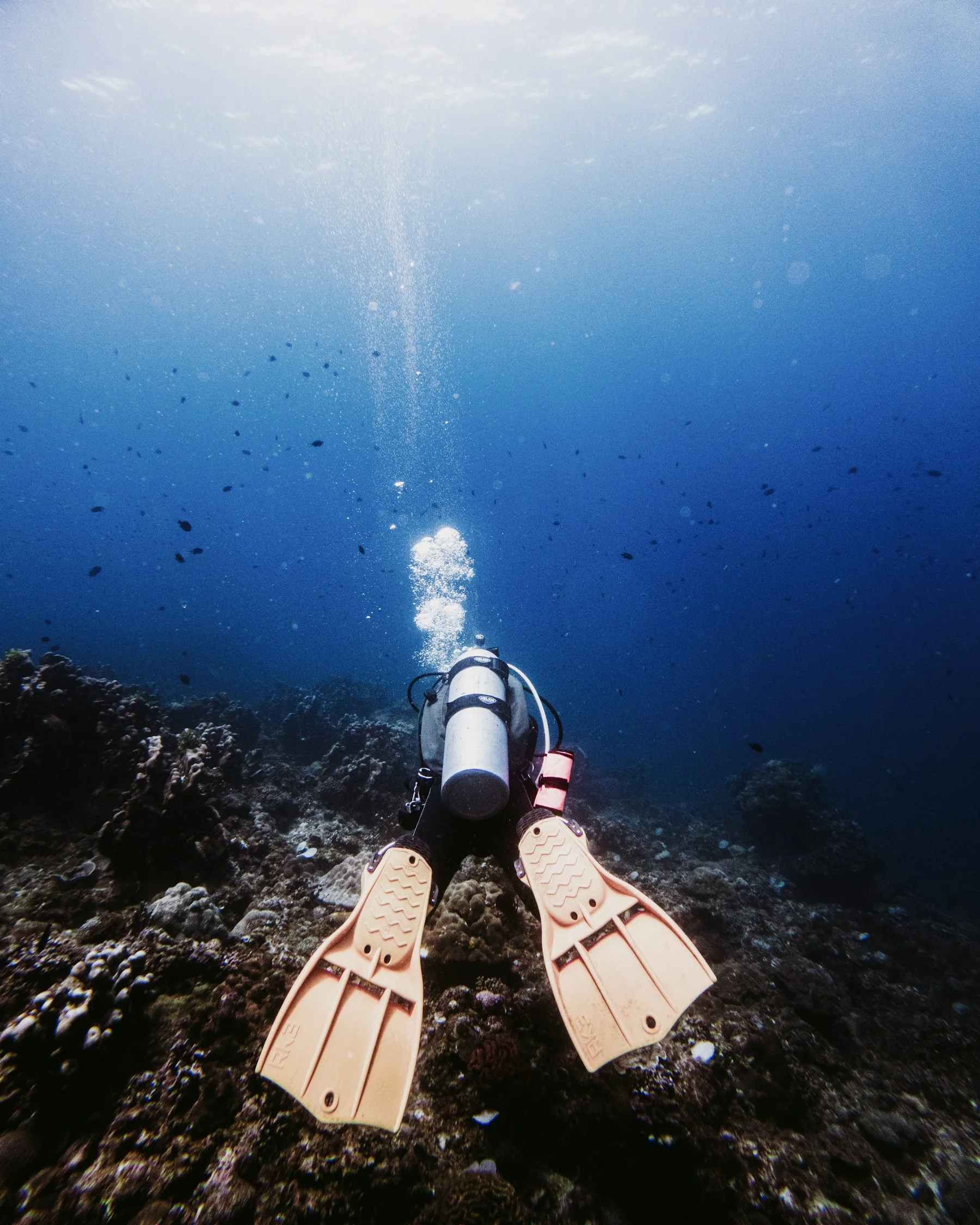 Scuba diver illustrating Kenya coast activity planning