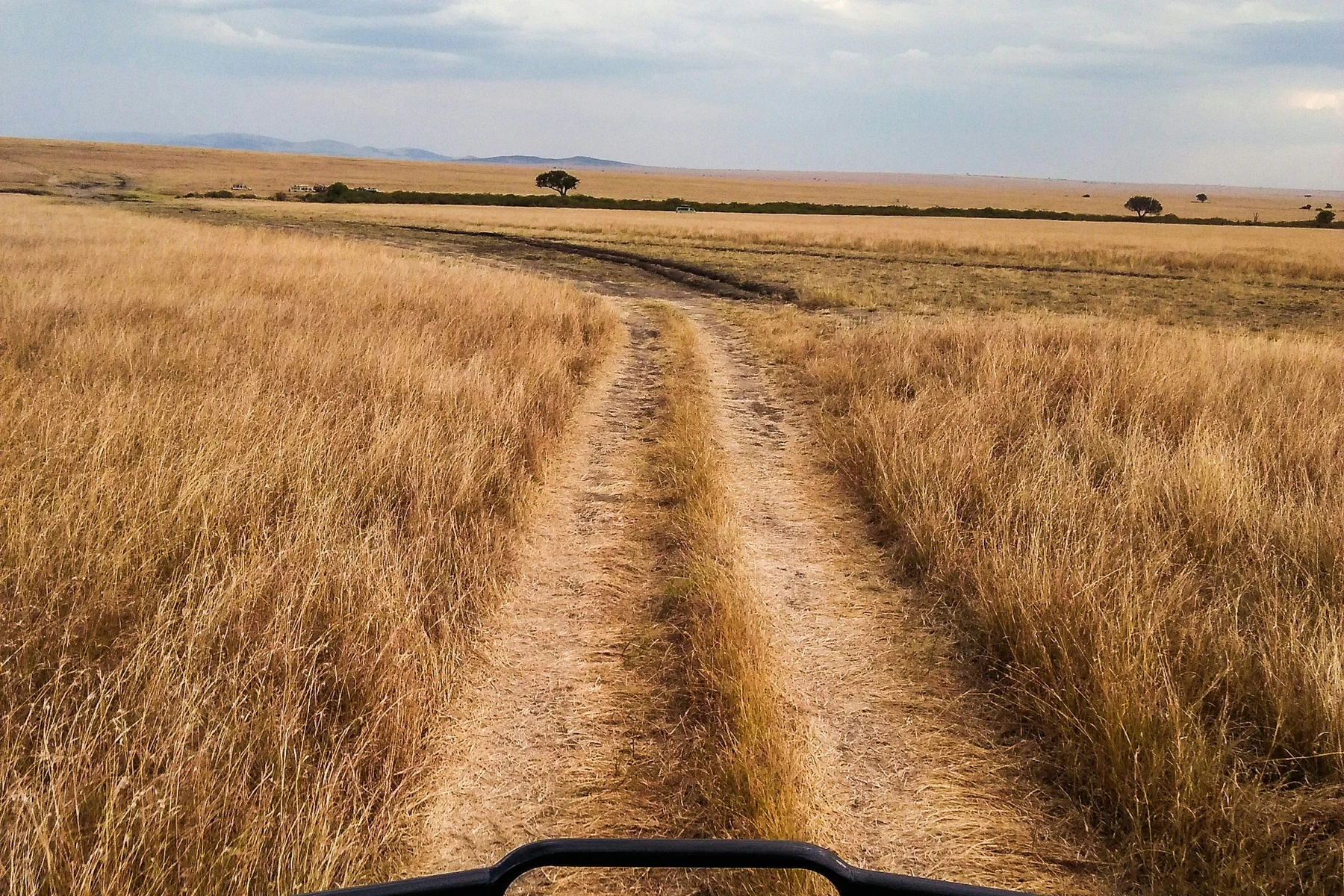Quiet vehicle track through golden grass in the Masai Mara National Reserve