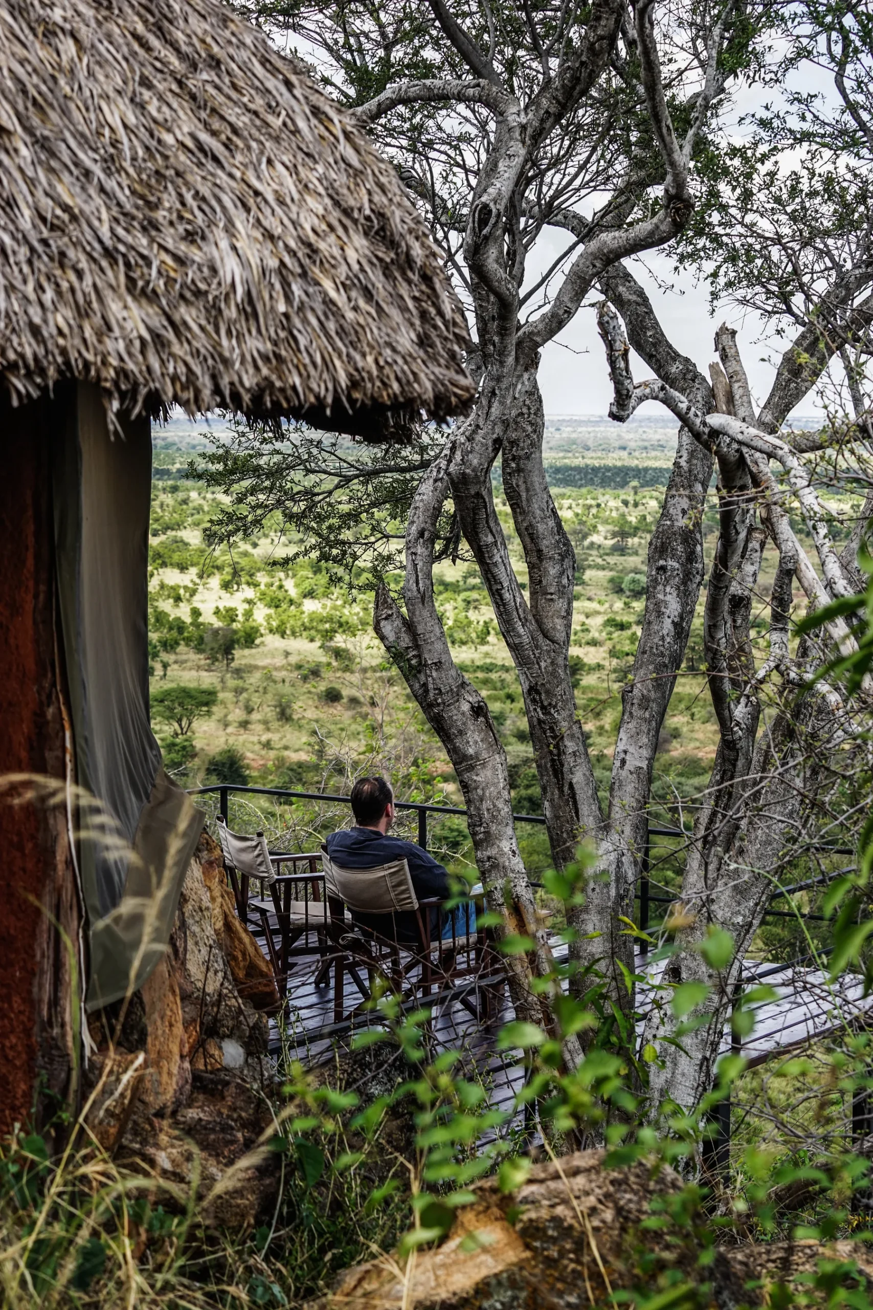 Guest terrace among trees overlooking the Meru National Park landscape