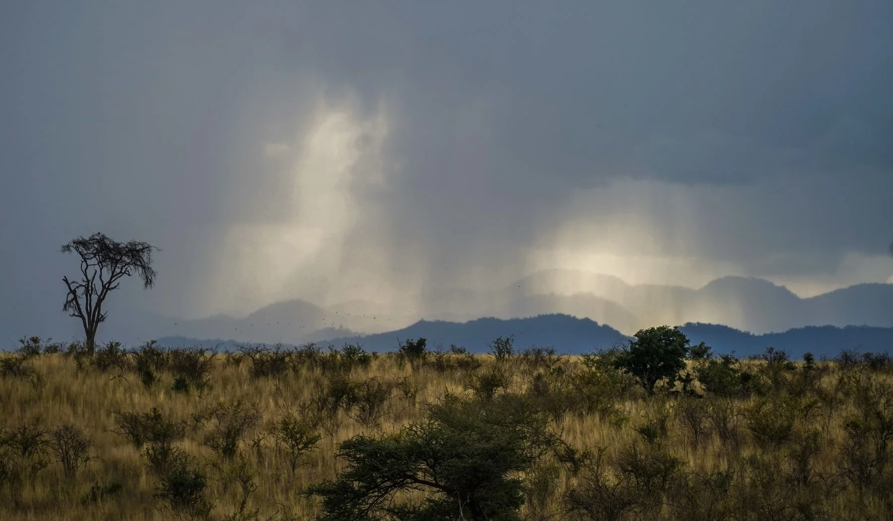 Rain falling beyond open savannah and hills in Meru National Park