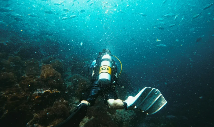 Mombasa Diving and Snorkeling Guide: Reefs, Marine Parks, Safety and Seasons