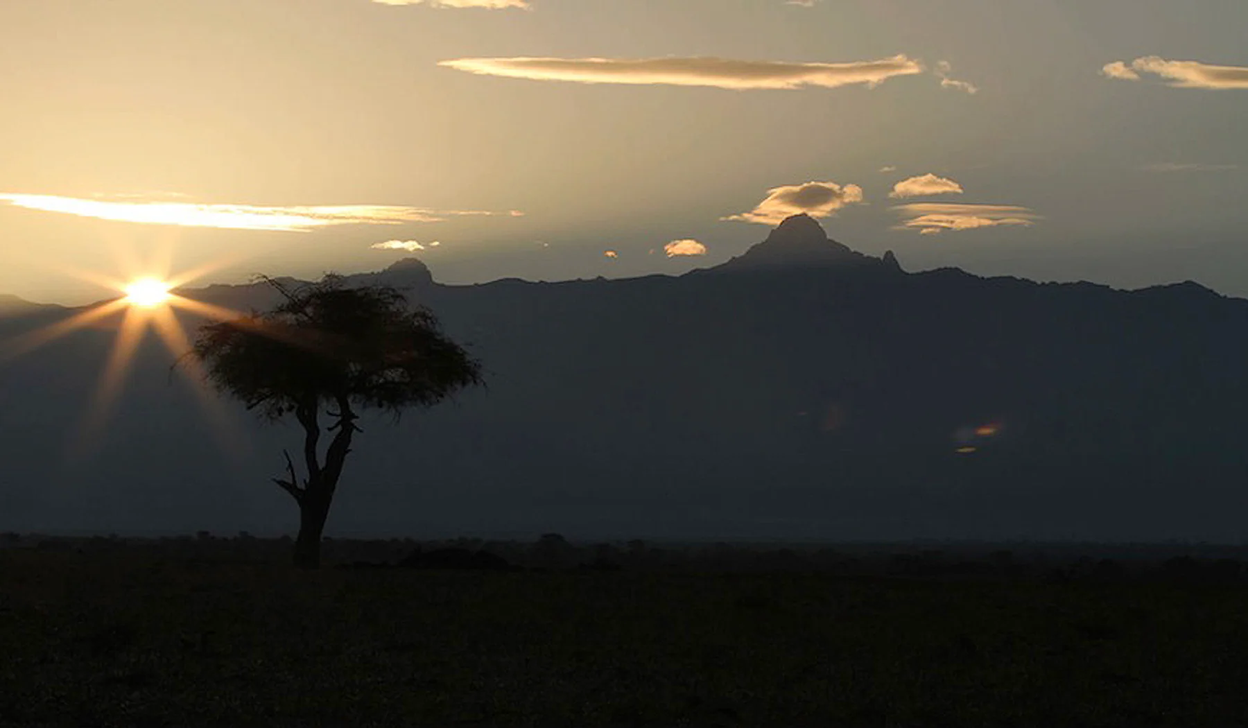 Sunrise beside an acacia with Mount Kenya silhouetted from Ol Pejeta