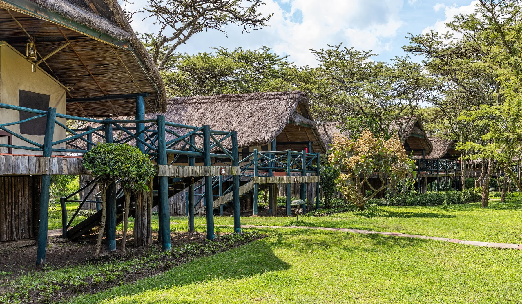 Raised thatched tented rooms among trees at Sweetwaters Serena Camp in Ol Pejeta