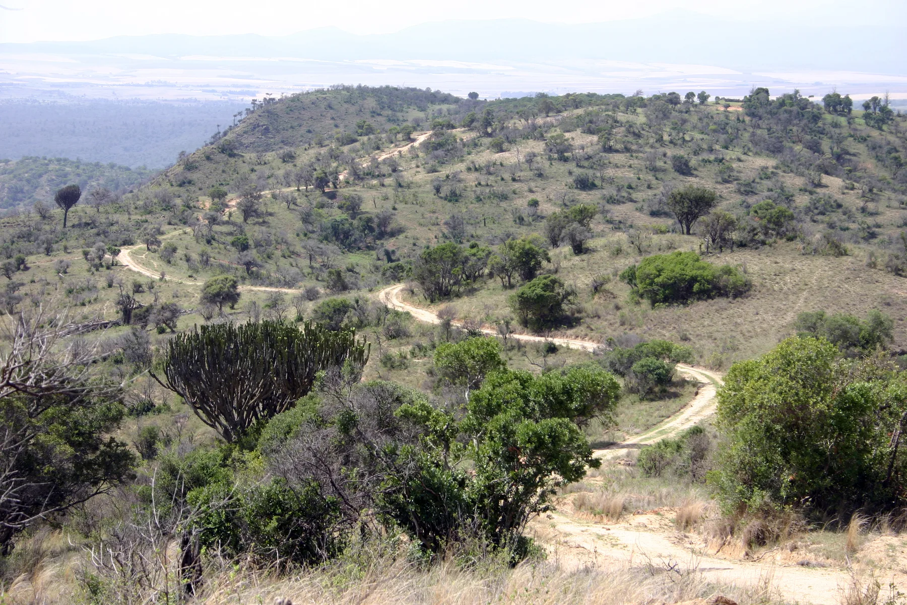 Winding unpaved road through the hills on the approach to Lewa Wildlife Conservancy