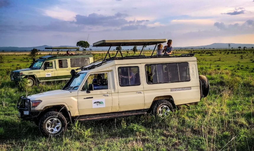 Tipping on a Kenya Safari: A Comfortable, Respectful Guide