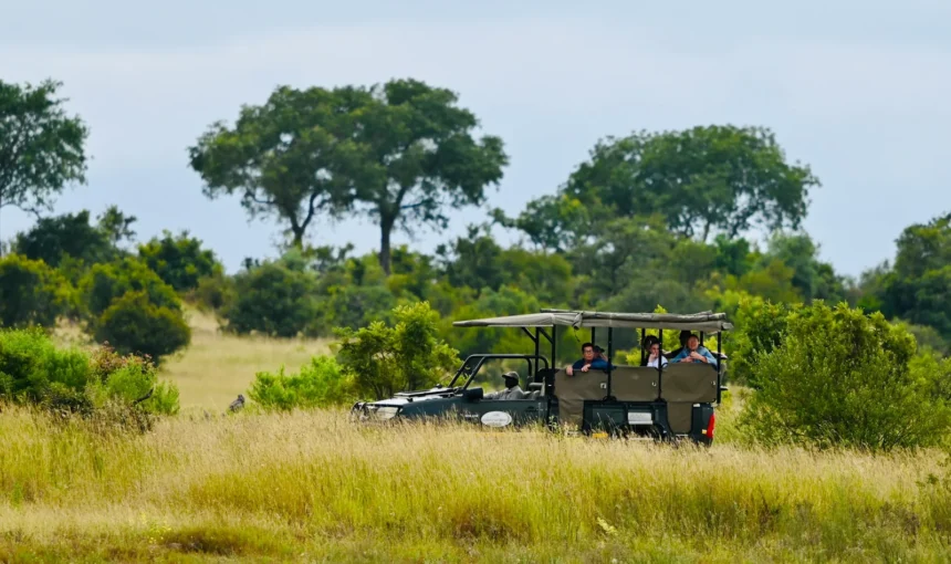 Masai Mara with Kids: A Family Safari That Still Feels Like a Holiday