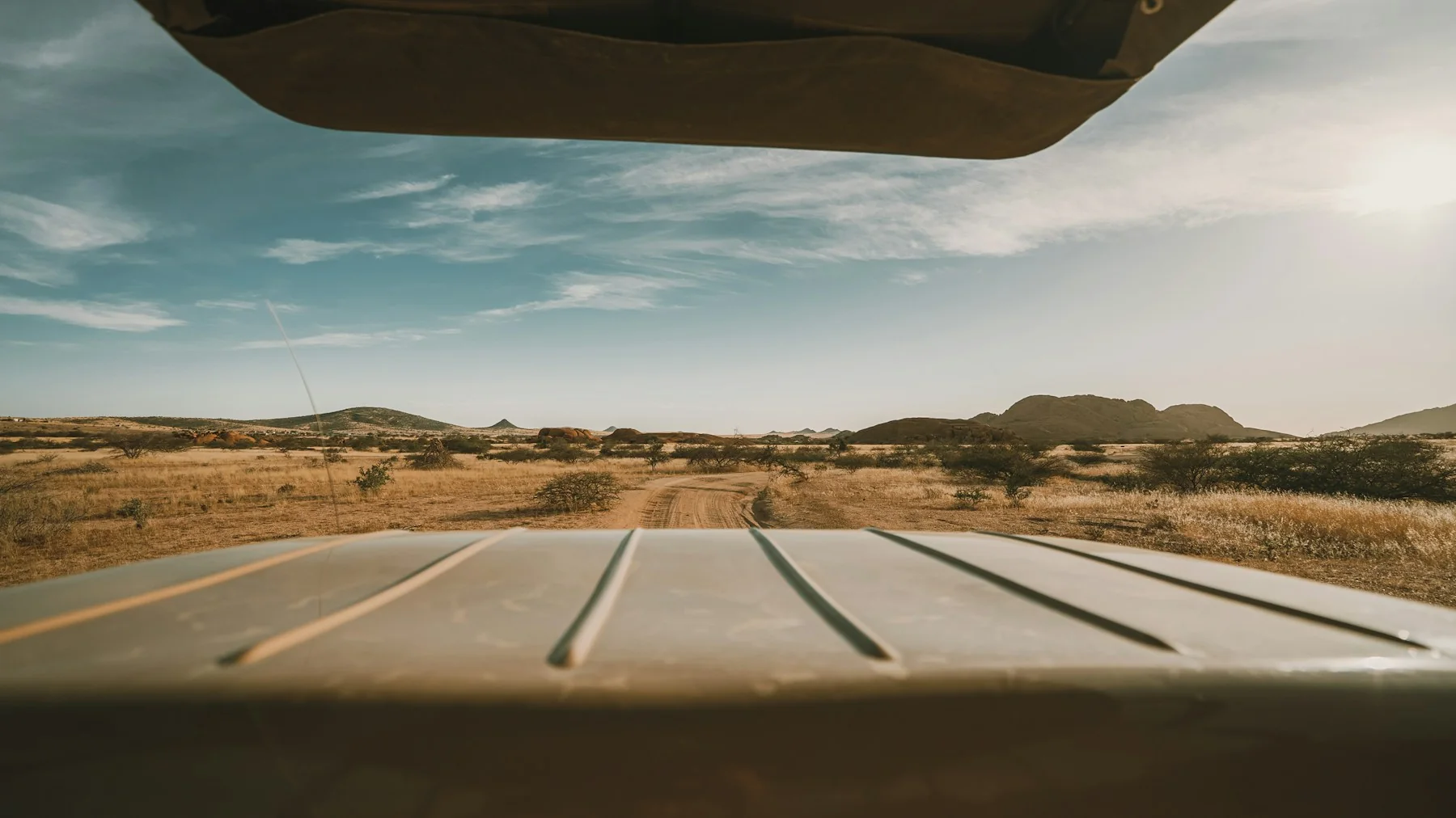 View from a safari vehicle shared by a small group