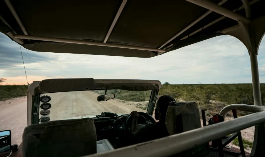 Is Amboseli Safe? Wildlife, Road and Health Guide