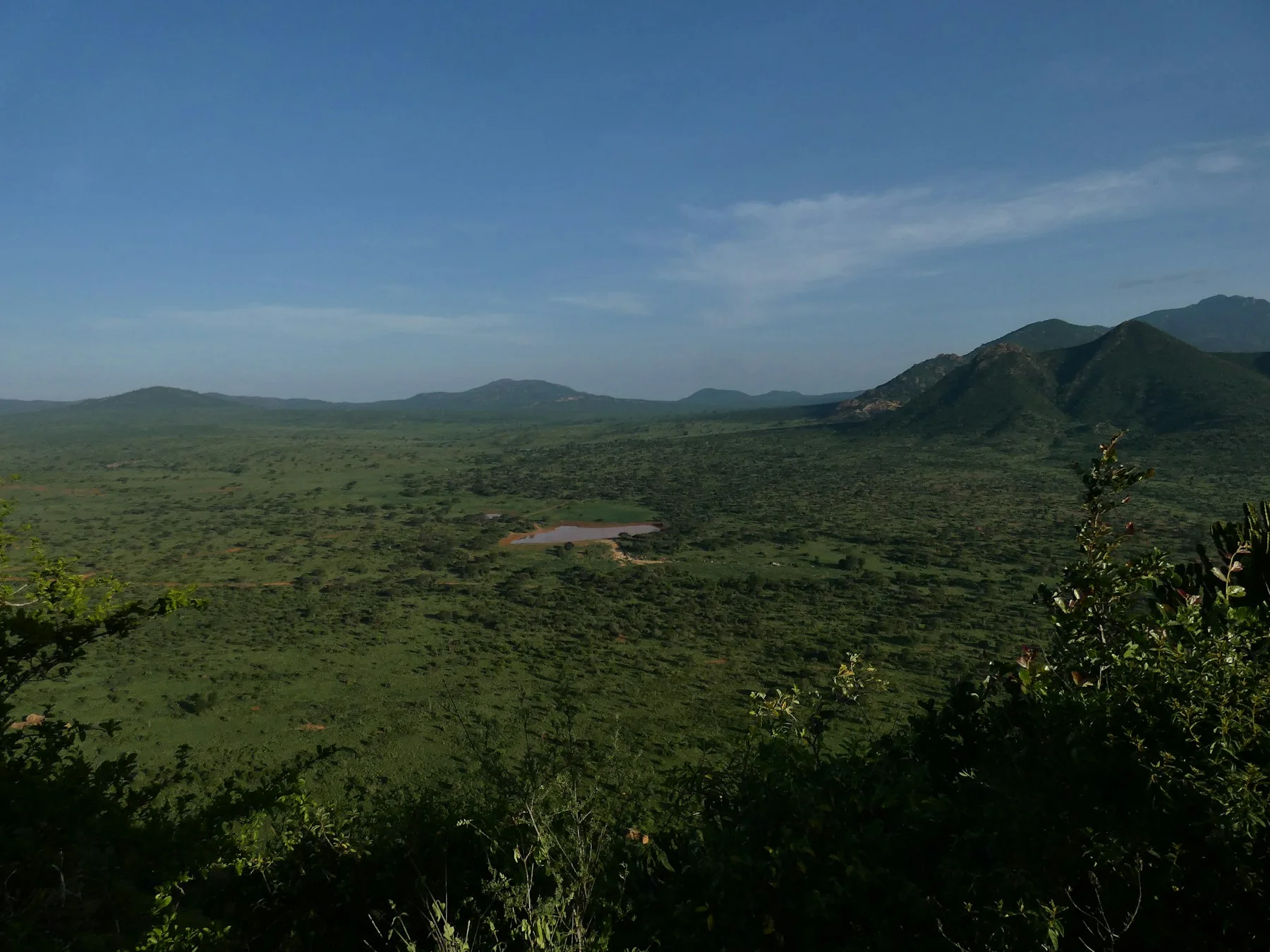 Green landscape during the best time to visit Tsavo