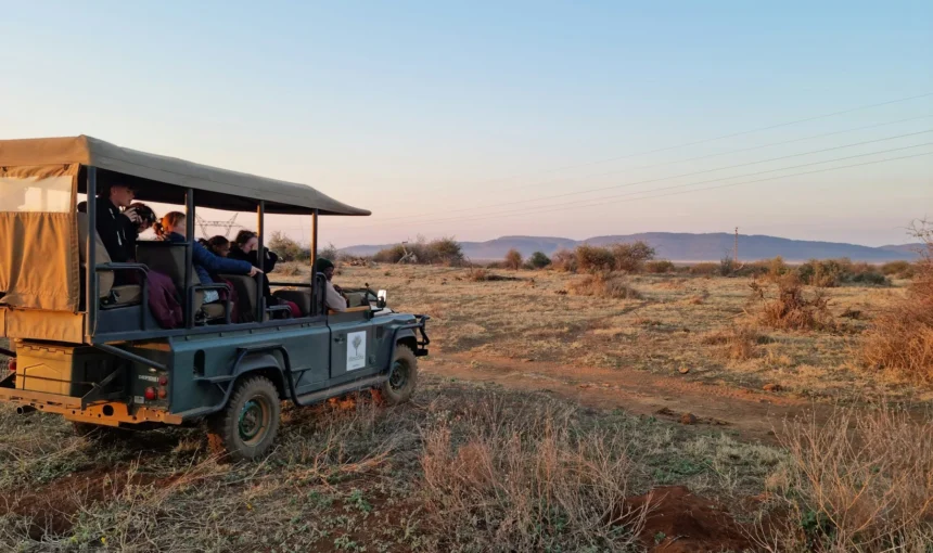 Kenya Safari Travel Insurance: What Your Policy Must Cover