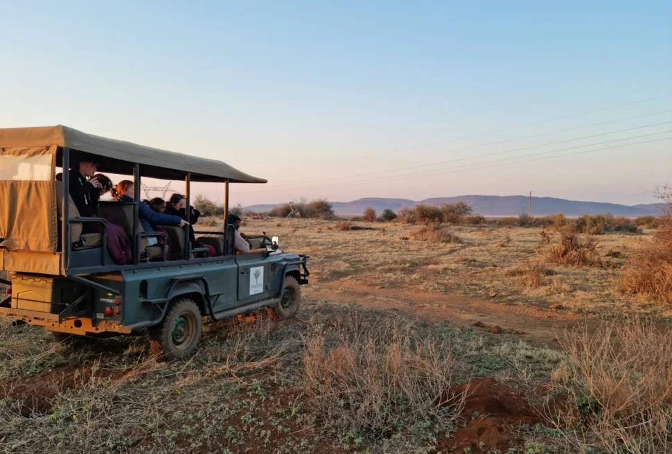 Kenya safari travel insurance for an overland journey