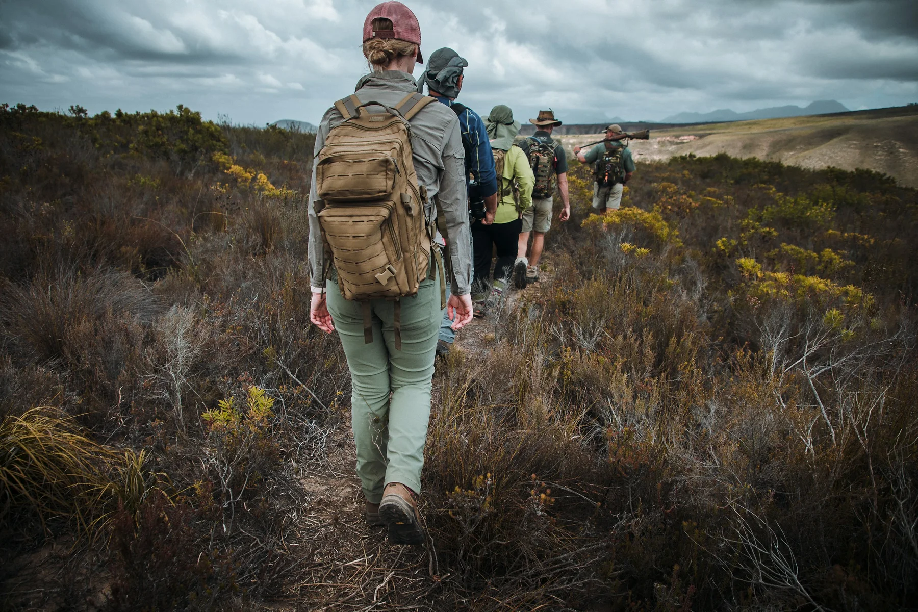 Guided walking safari group moving in single file behind an armed ranger