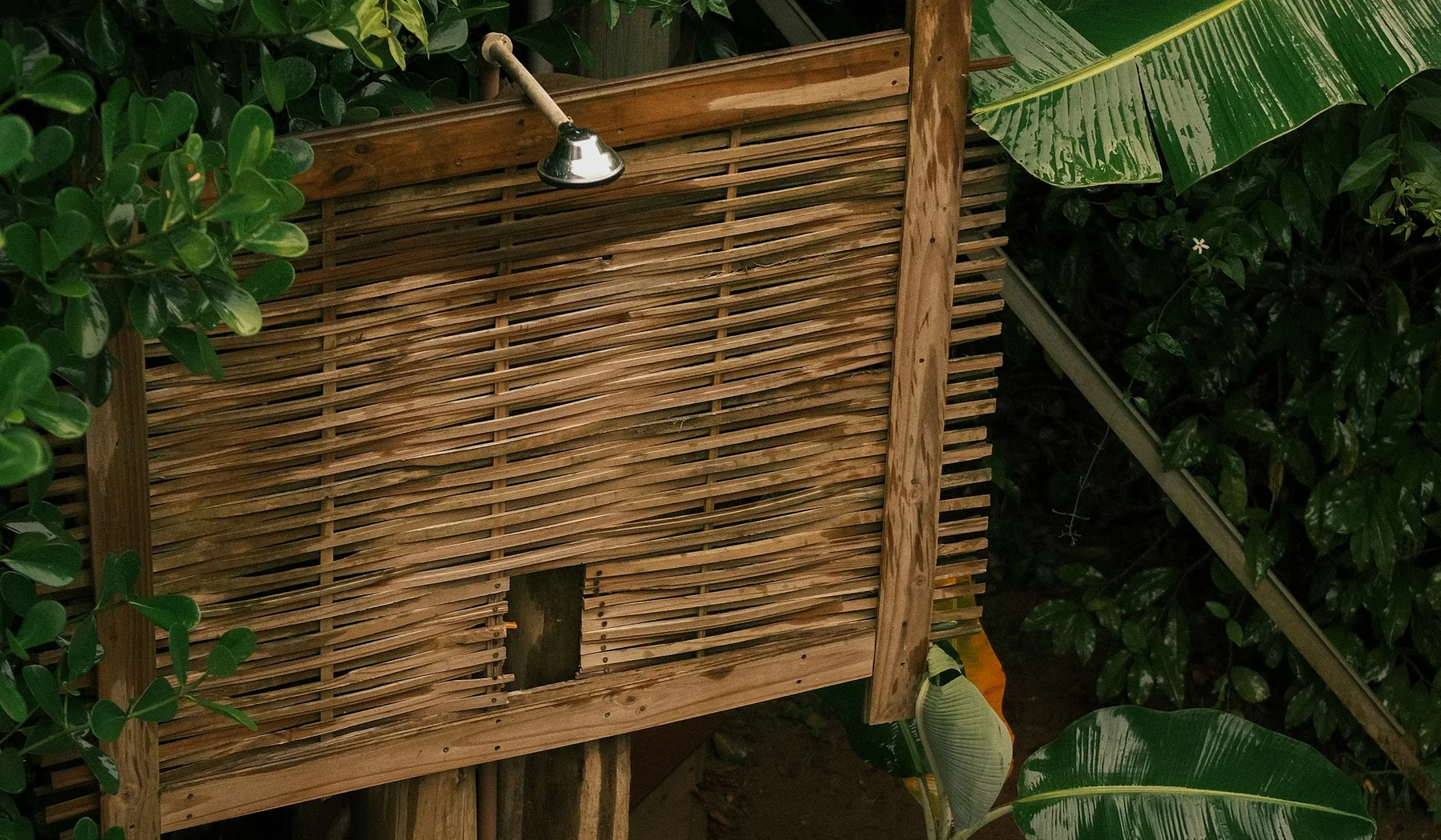 Private outdoor shower behind a bamboo screen in a green setting